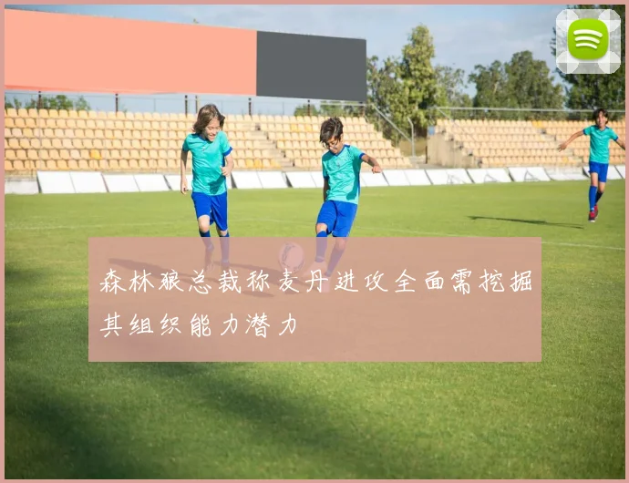 森林狼总裁称麦丹进攻全面需挖掘其组织能力潜力