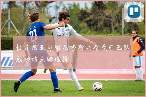 拉菲尼亚与维尼修斯共存是巴西队成功的关键选择